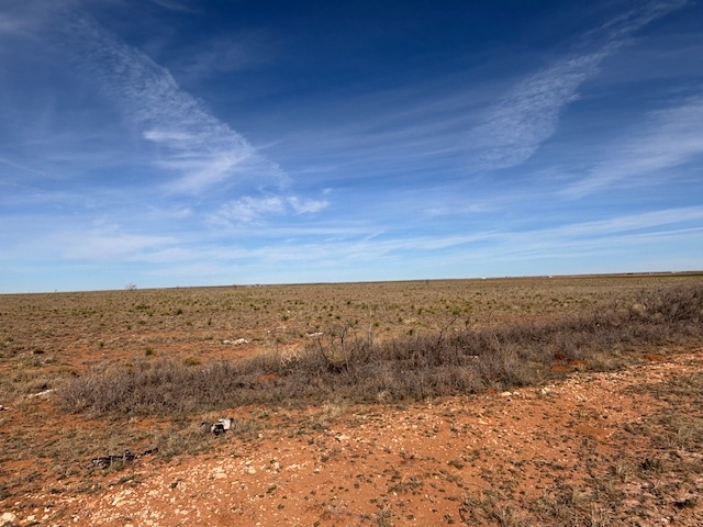 County Road 225, Plains, TX à vendre - Autre – Image 2 sur 3