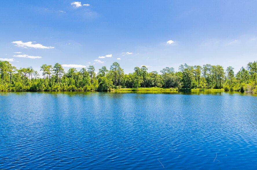 17913 Lake Rd, Seminole, AL à vendre - Photo principale – Image 1 sur 12