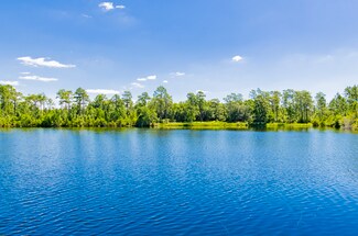 Plus de détails pour 17913 Lake Rd, Seminole, AL - Terrain à vendre