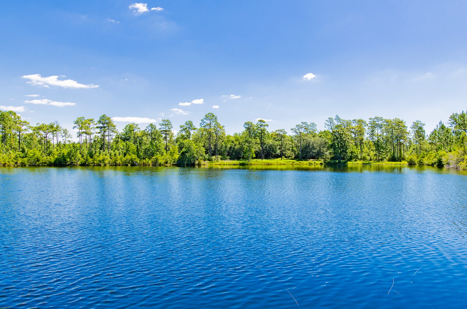 17913 Lake Rd, Seminole, AL à vendre Photo principale– Image 1 sur 13