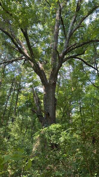 Glen Leaf, Shreveport, LA à vendre - Photo de l’immeuble – Image 2 sur 5