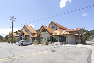 Plus de détails pour 700 W Hwy 24, Woodland Park, CO - Local commercial à vendre