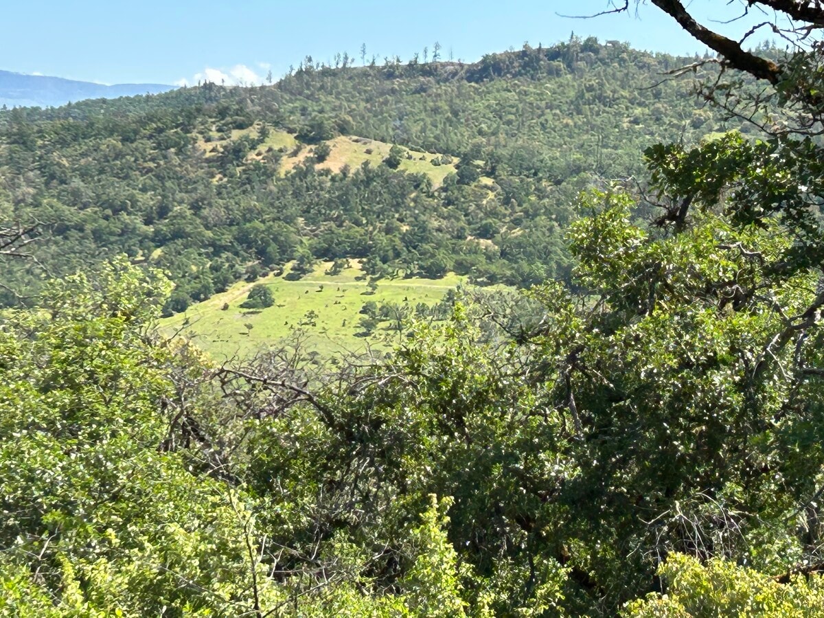 View Photo