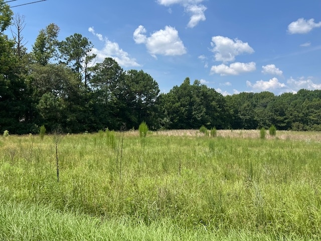 711 Longtown Rd, Columbia, SC à vendre Photo principale– Image 1 sur 8