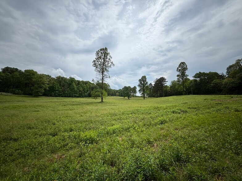 1329 Old Clear Creek Rd, Ellijay, GA à vendre - Photo de l’immeuble – Image 2 sur 9