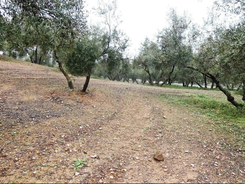 Terrain dans Peligros, Granada à vendre - Photo de l’immeuble – Image 3 sur 22