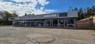Plus de détails pour 3201-3205 W Saginaw Hwy, Lansing, MI - Local commercial à louer