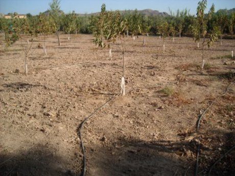 Terrain dans Calasparra, Murcia à vendre - Photo de l’immeuble – Image 2 sur 14