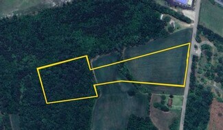 Plus de détails pour Raccoon Road, Manning, SC - Terrain à vendre