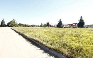 Plus de détails pour 6042 Birch Dr, Flint, MI - Terrain à vendre