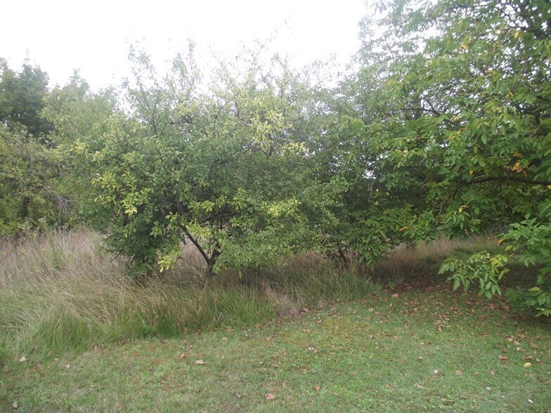 Terrain dans Chavanges à vendre - Photo de l’immeuble – Image 2 sur 2