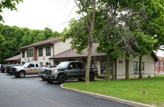 Plus de détails pour 850 E Grand Ave, Lake Villa, IL - Bureau à louer