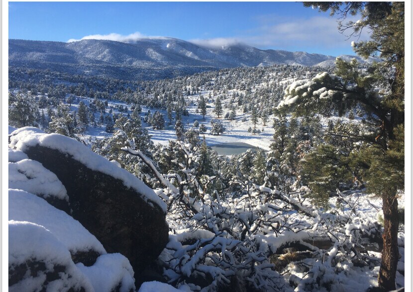 550 Eagle Rdg Ln, Big Bear Lake, CA à vendre - Photo de l’immeuble – Image 2 sur 35