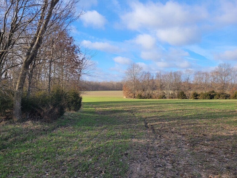 Bales Rd. (26.5+/- Acres), Middletown, MO à vendre - Autre – Image 2 sur 20