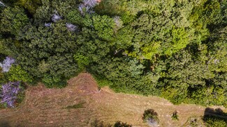 Plus de détails pour 14610 TX-21, North Zulch, TX - Terrain à vendre