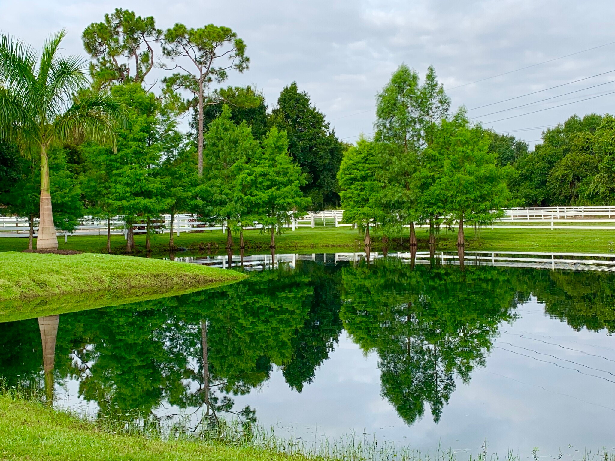 3800 Staley Rd, Fort Myers, FL à vendre Photo principale– Image 1 sur 31