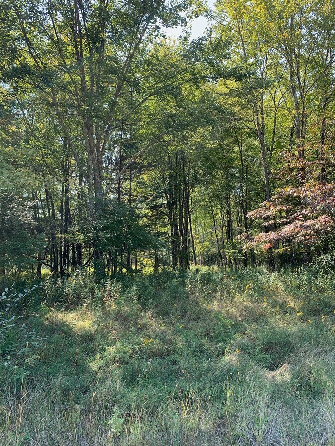 View Photo