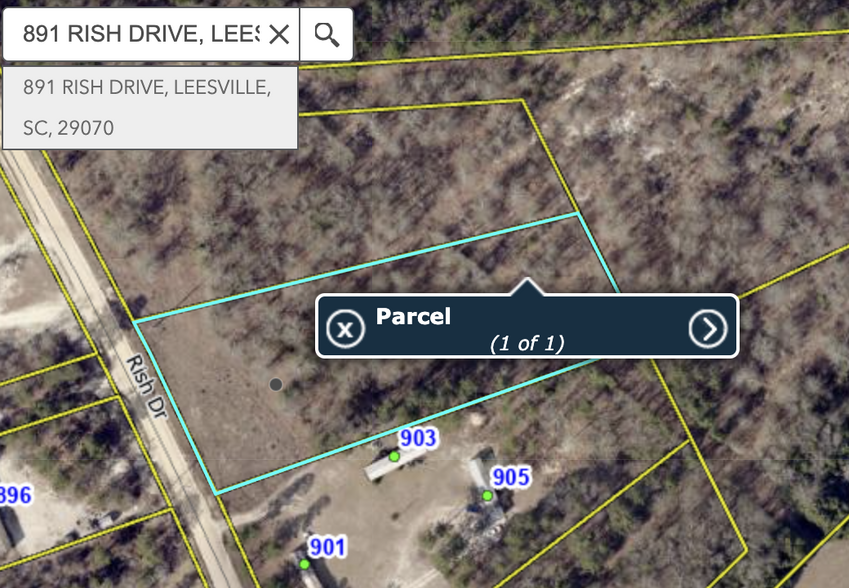 891 Rish Dr, Leesville, SC à vendre - Photo principale – Image 1 sur 1