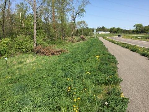 Xxx County Road 24 & 63rd Ave, Cannon Falls, MN à vendre - Autre – Image 3 sur 12