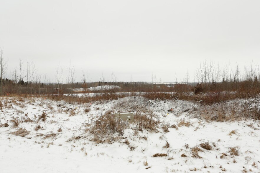 53124 Rge Road 264, Acheson, AB à vendre - Photo de l’immeuble – Image 2 sur 7