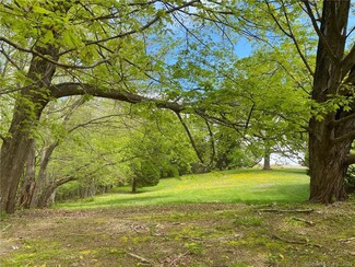 Plus de détails pour 565 Saybrook Road, Haddam, CT - Terrain à vendre