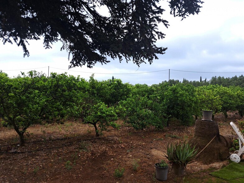 Carrer Devesa A, Vinaros, Costa Norte, 4, Vinaròs, Castellón à vendre - Photo de l’immeuble – Image 3 sur 5