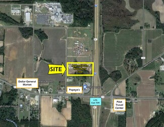 Plus de détails pour 250 Pig Jig Blvd, Vienna, GA - Terrain à vendre