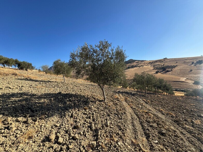 Terrain dans Casabermeja, Málaga à vendre - Plan de site – Image 2 sur 13