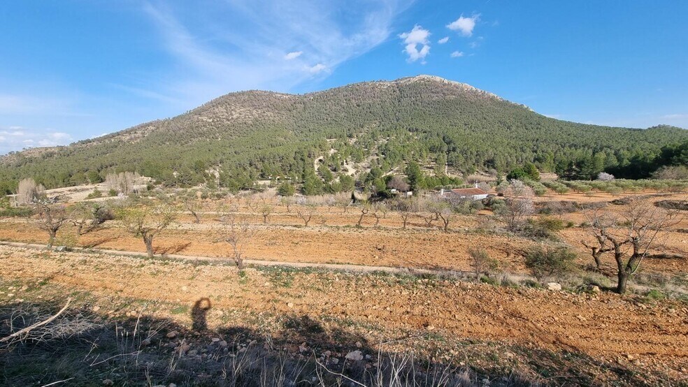 Polígono Industrial Marimingo, 16, Bullas, Murcia à vendre - Photo de l’immeuble – Image 2 sur 12