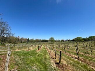 Plus de détails pour 4500 Winery Ln, Barboursville, VA - Terrain à vendre