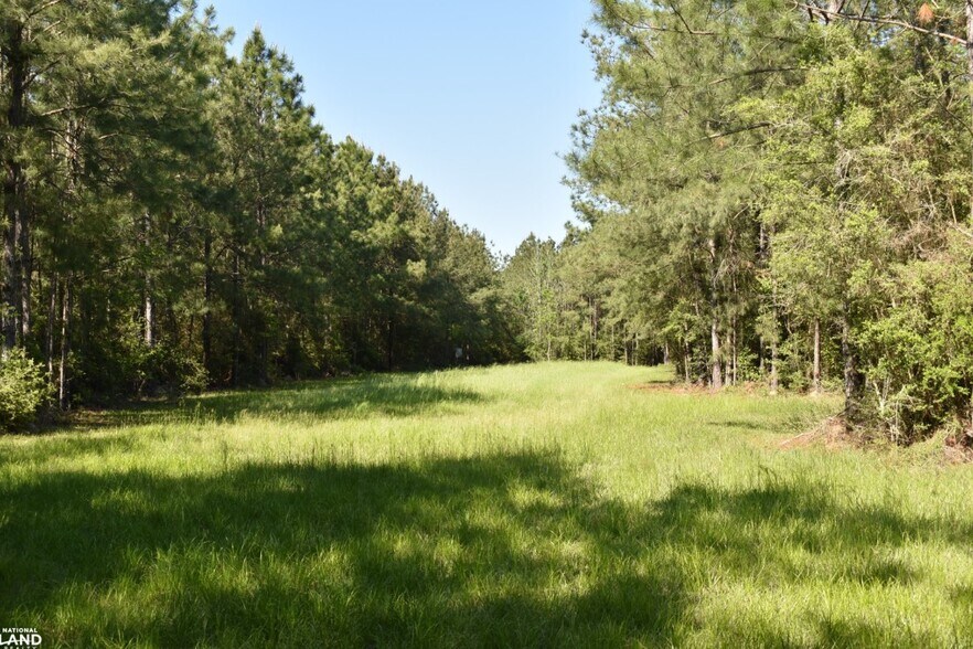 0 Oceola rd, Uneedus, LA à vendre - Autre – Image 3 sur 22