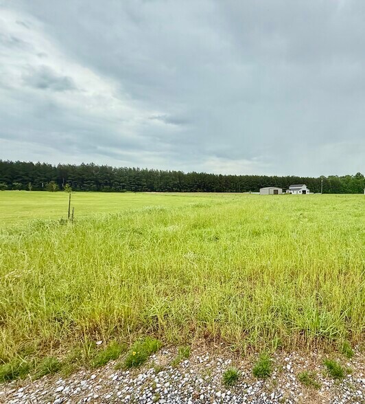 10776 Paesano Point Rd, Saint Francisville, LA à vendre - Photo de l’immeuble – Image 2 sur 7