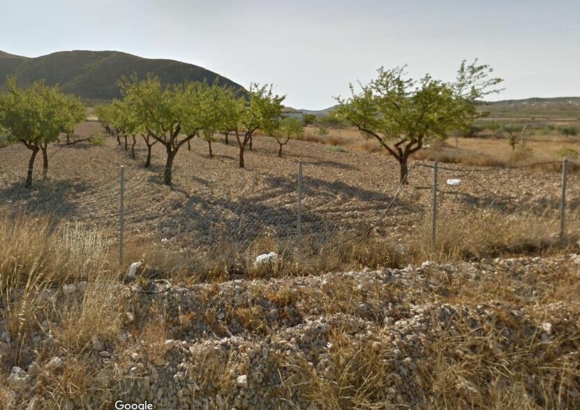 Terrain dans Orihuela, Alicante à vendre - Photo de l’immeuble – Image 2 sur 2