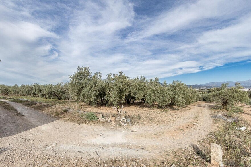 Pago de, Albolote, Granada à vendre - Aérien – Image 2 sur 12