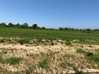 Plus de détails pour 380 Highway 61 S, Natchez, MS - Terrain à vendre