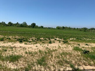 Plus de détails pour 380 Highway 61 S, Natchez, MS - Terrain à vendre