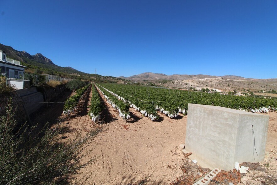 Terrain dans La Romana, Alicante à vendre - Photo de l’immeuble – Image 2 sur 3
