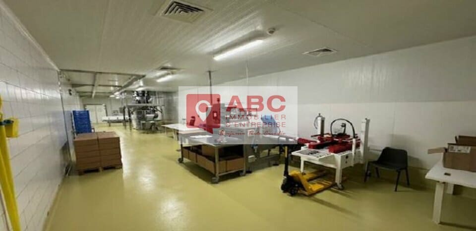 Local d'activités dans VAL D'ARCOMIE à vendre - Photo de l’immeuble – Image 3 sur 11