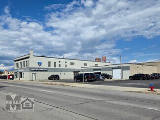 Plus de détails pour 319-327 Elm St, Buffalo, NY - Industriel/Logistique à vendre