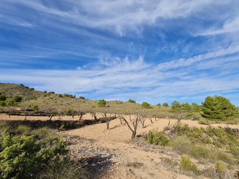 Terrain dans Yecla, Murcia à vendre - Aérien – Image 3 sur 10