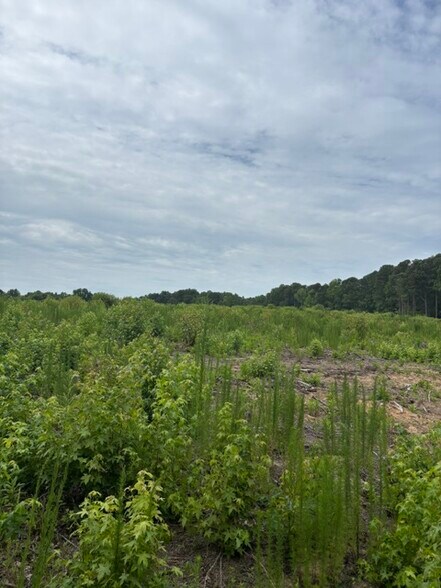 Mays Crossroads Rd, Youngsville, NC à vendre - Photo de l’immeuble – Image 3 sur 10