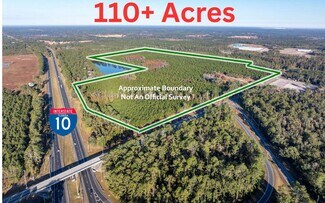 Plus de détails pour CR 137, Wellborn, FL - Terrain à vendre