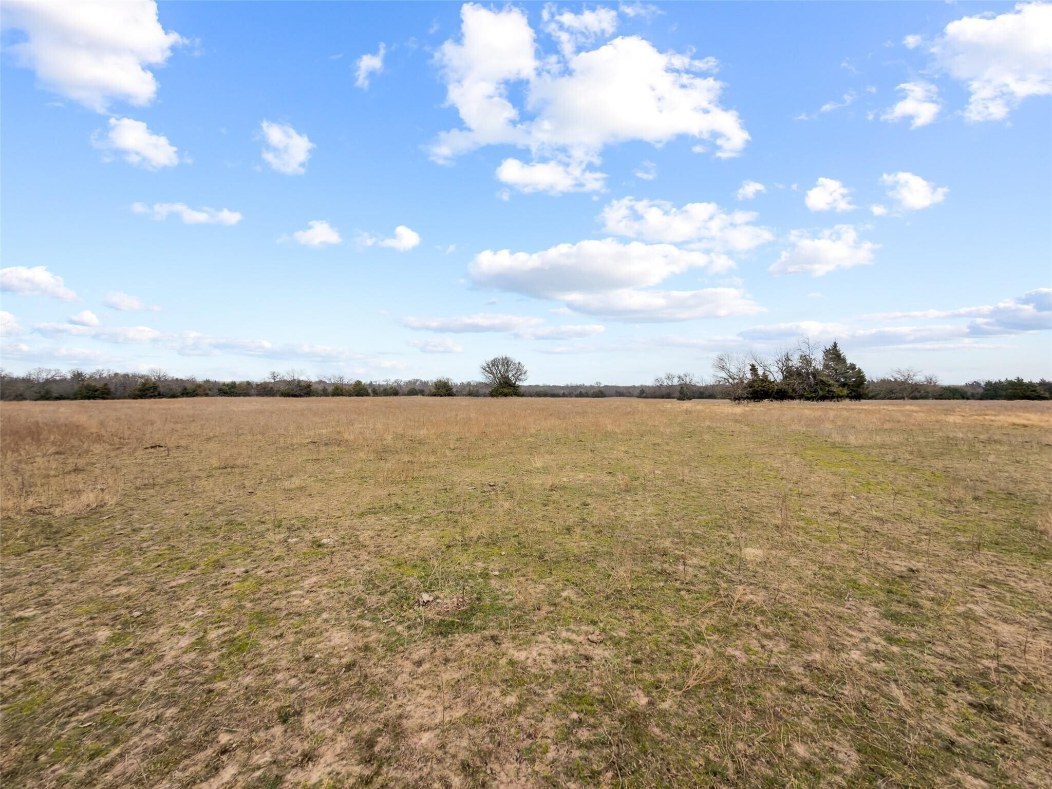 Tracts 1, 2, 3 County Road 1255, Savoy portefeuille de 1 biens à vendre sur LoopNet.fr Photo principale– Image 1 sur 31