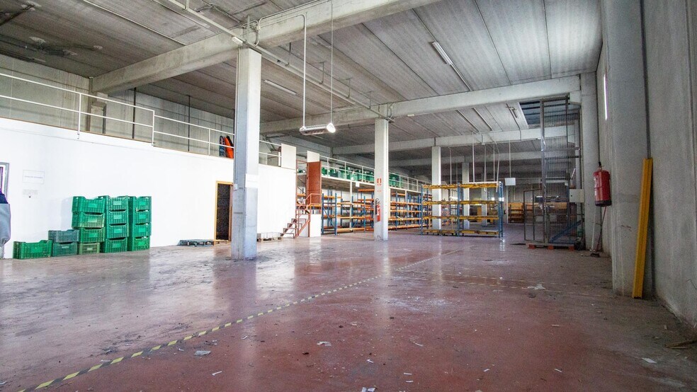 Industriel/Logistique dans Petrer à vendre - Photo intérieure – Image 2 sur 17