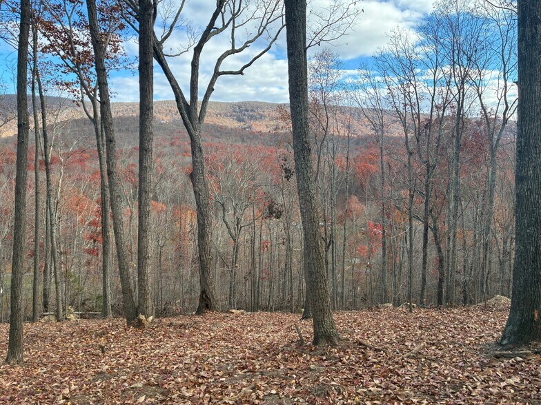 122 Flat Rock Rd, Waynesboro, VA à vendre - Photo de l’immeuble – Image 1 sur 9