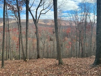 Plus de détails pour 122 Flat Rock Rd, Waynesboro, VA - Terrain à vendre