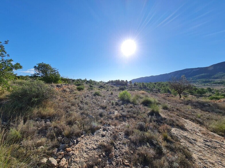 Terrain dans La Romana, Alicante à vendre - Aérien – Image 2 sur 10