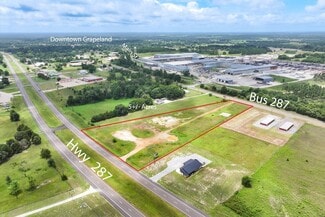 Plus de détails pour 00 US 287, Grapeland, TX - Terrain à vendre
