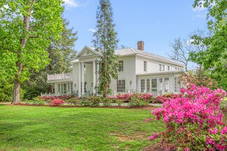 Plus de détails pour 7920 E Washington Street Ext, Mebane, NC - Spécialisé à vendre