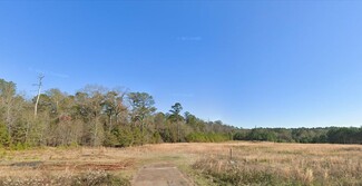 Plus de détails pour 00 US 280 Hwy, Americus, GA - Terrain à vendre
